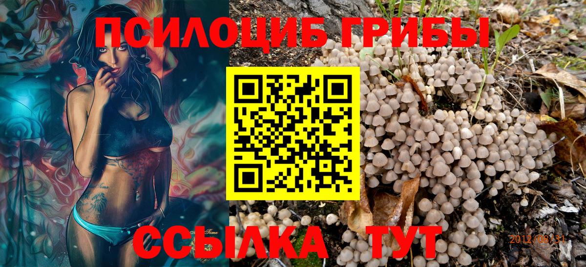 Псилоцибиновые грибы ЛСД  Галлюциногенные грибы Psilocybine cubensis  Гуково  Вход с VPN 