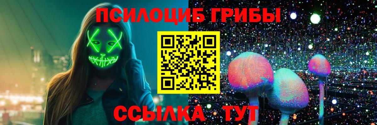Псилоцибиновые грибы Cubensis Гуково